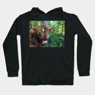 Scottish Highland Cattle Calf 2091 Hoodie